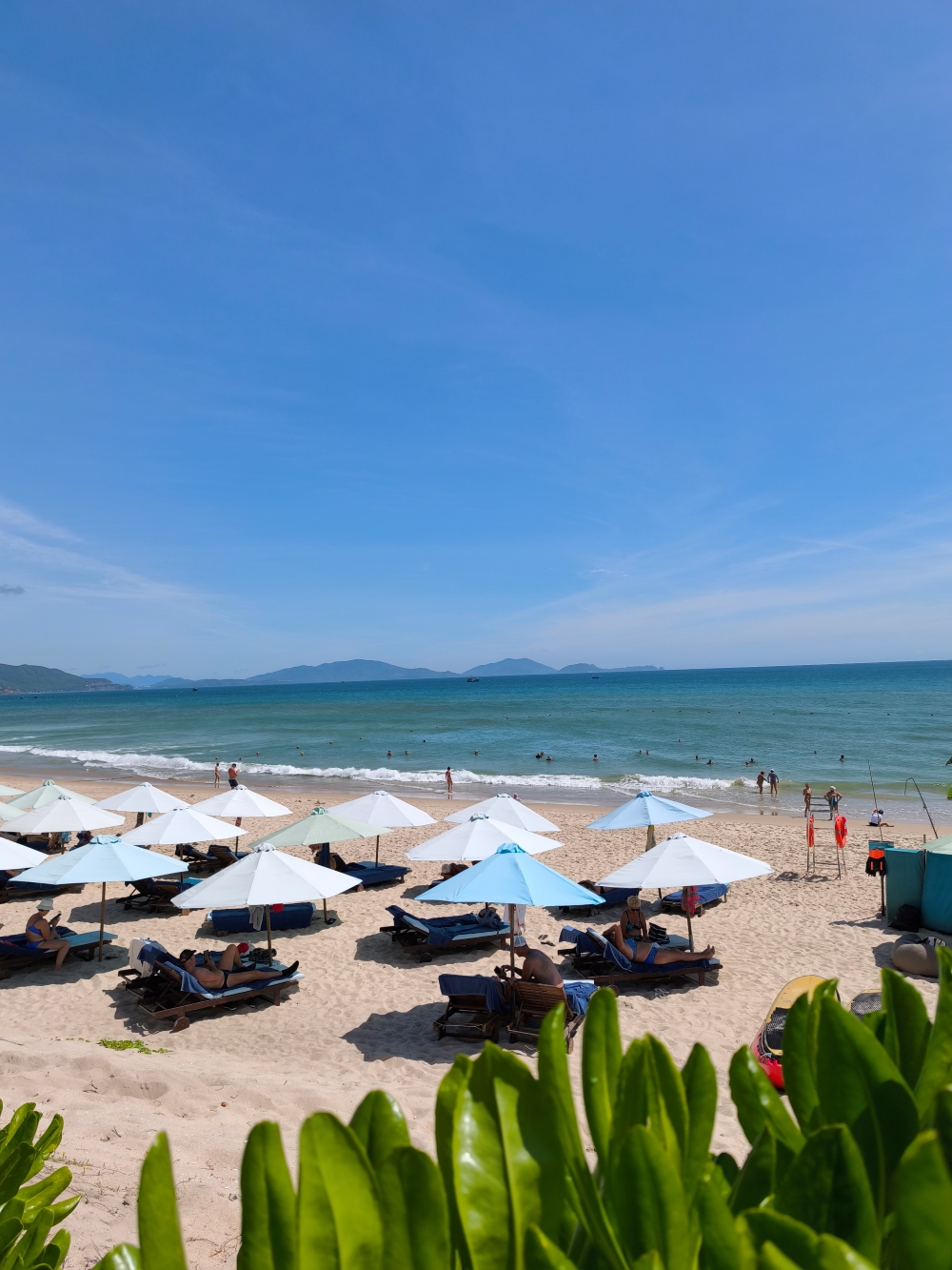 Duyen Ha In Serenity